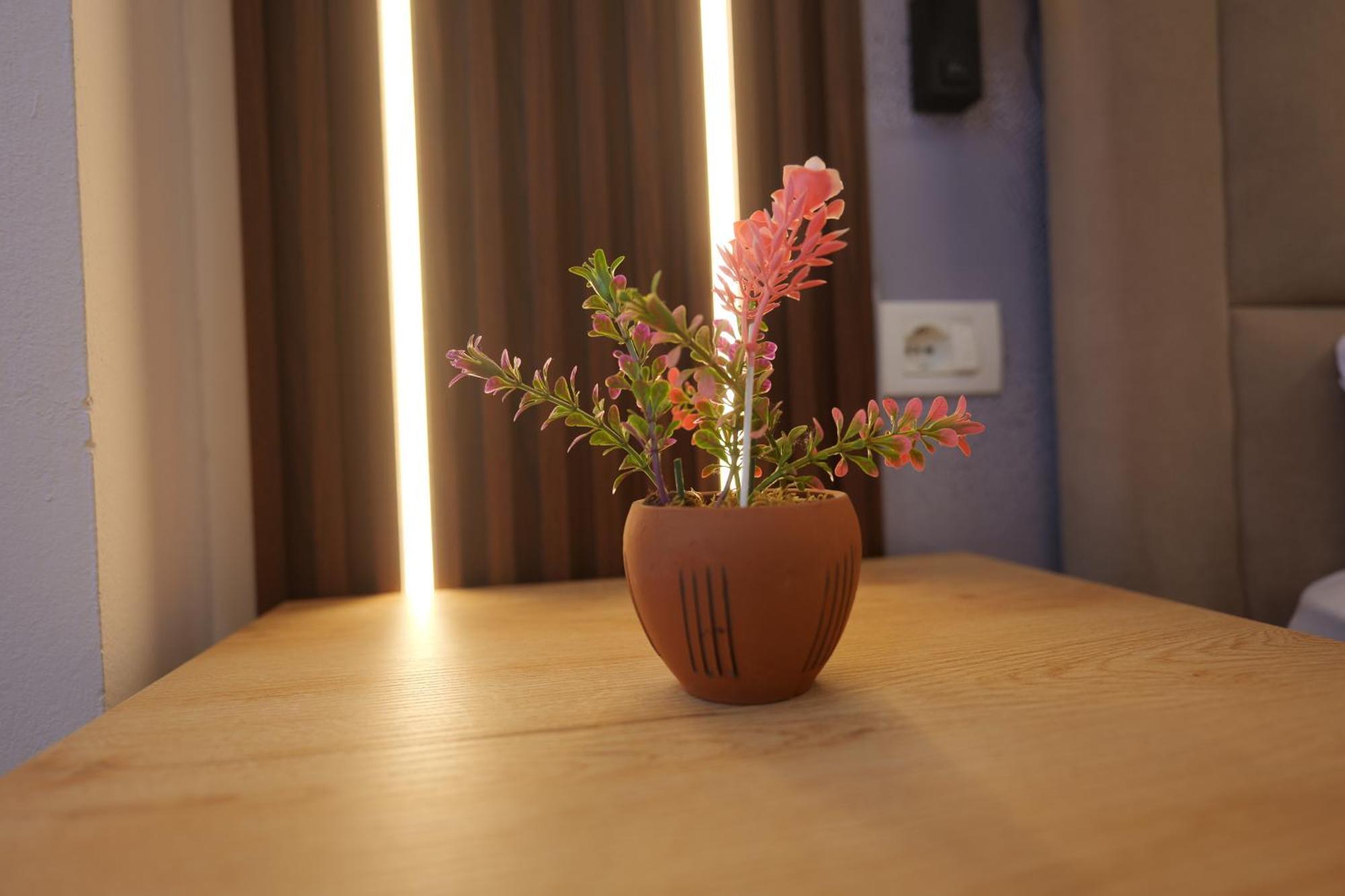 Golden Sleep Hostel Σκόδρα Εξωτερικό φωτογραφία